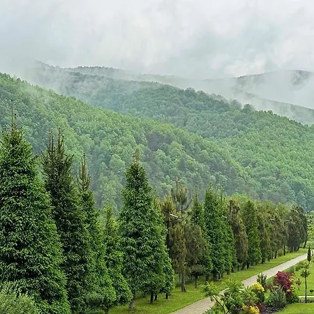 в горах Guest house